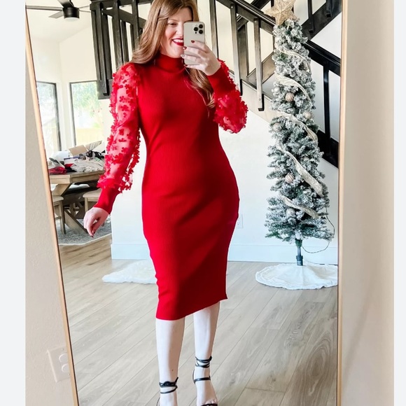 NO BOUNDARIES Red Ribbed Puffy Floral Sheer Sleeve Cable knit Sweater Dress NWOT - Picture 3 of 13